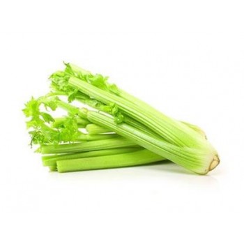 1 Bunch of Fresh Celery 